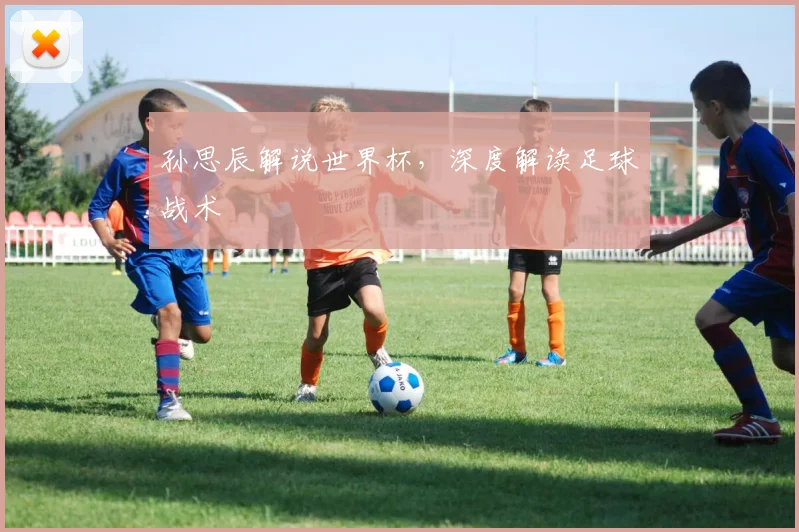 孙思辰解说世界杯，深度解读足球战术